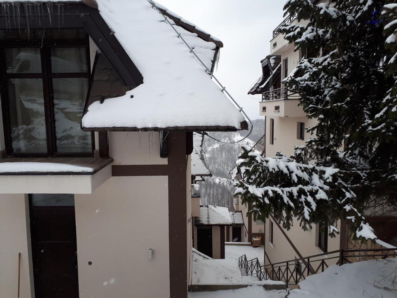 Apartman Andjela コパオニク エクステリア 写真